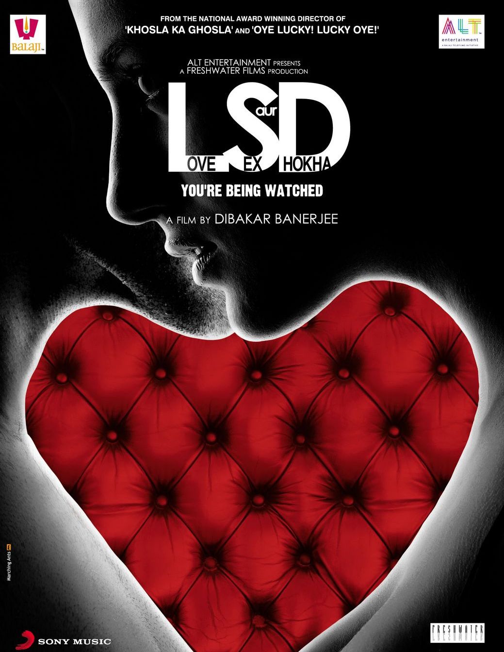 LSD 2 - Love, Sex Aur Dhokha 2 (2024)